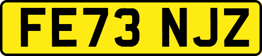 FE73NJZ