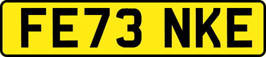 FE73NKE