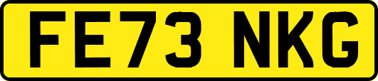 FE73NKG