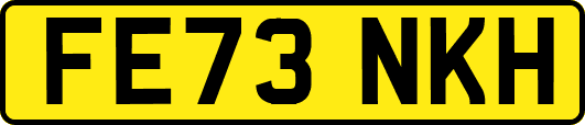 FE73NKH