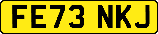 FE73NKJ