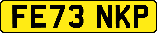 FE73NKP