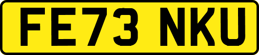 FE73NKU