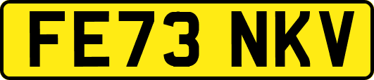 FE73NKV