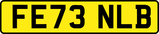 FE73NLB
