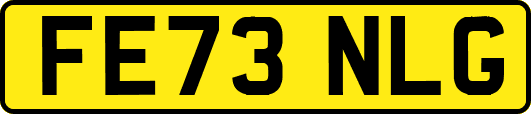 FE73NLG