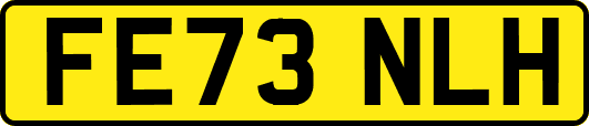 FE73NLH