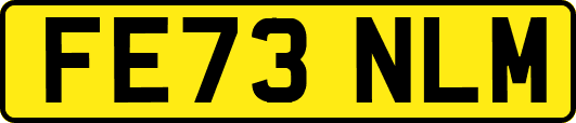 FE73NLM