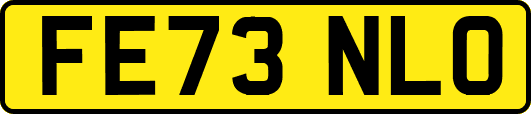 FE73NLO