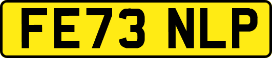 FE73NLP