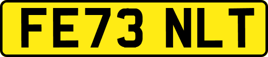 FE73NLT