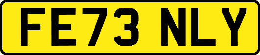 FE73NLY