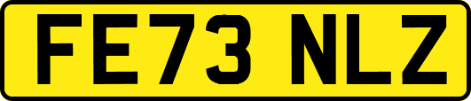 FE73NLZ
