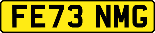 FE73NMG