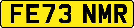 FE73NMR