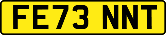 FE73NNT