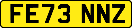 FE73NNZ
