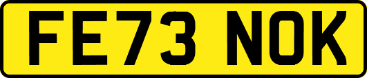 FE73NOK
