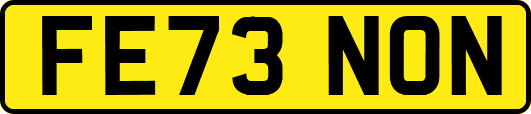 FE73NON