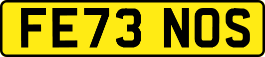 FE73NOS