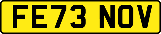 FE73NOV