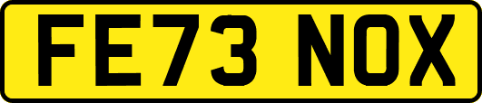 FE73NOX