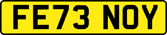 FE73NOY