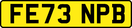 FE73NPB