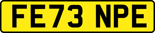 FE73NPE