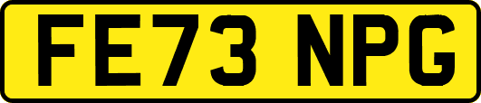 FE73NPG