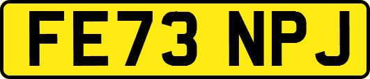 FE73NPJ