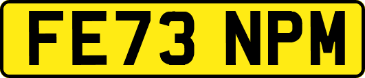 FE73NPM