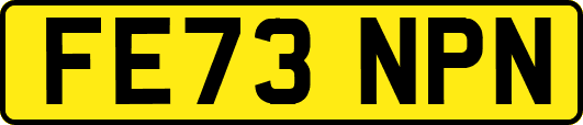 FE73NPN