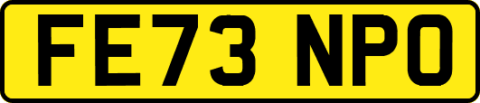 FE73NPO
