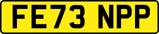 FE73NPP