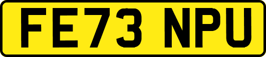 FE73NPU