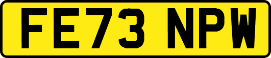 FE73NPW