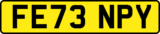 FE73NPY