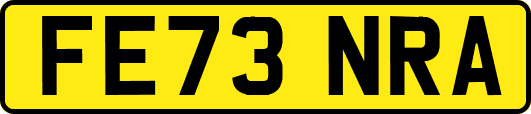 FE73NRA
