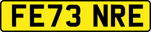 FE73NRE