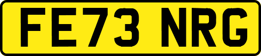 FE73NRG