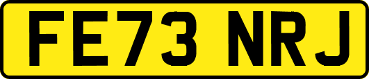FE73NRJ