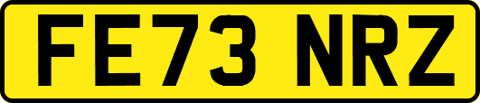 FE73NRZ