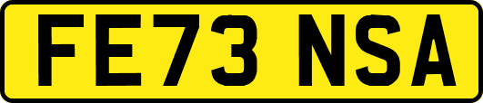 FE73NSA