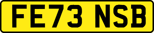 FE73NSB