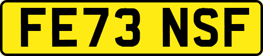 FE73NSF