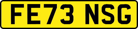 FE73NSG