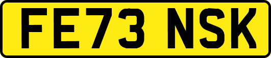 FE73NSK