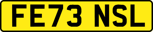FE73NSL