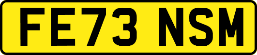 FE73NSM